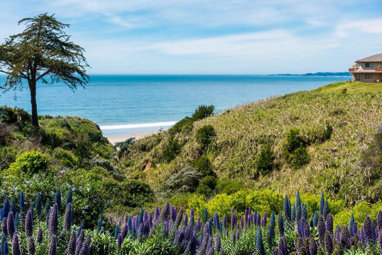 Seascape Beach Resort Aptos Eksteriør bilde